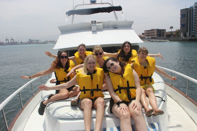 Palomino Islands: Swim with Sea Lions in the Pacific Ocean Tour with Meeting Point in Callao