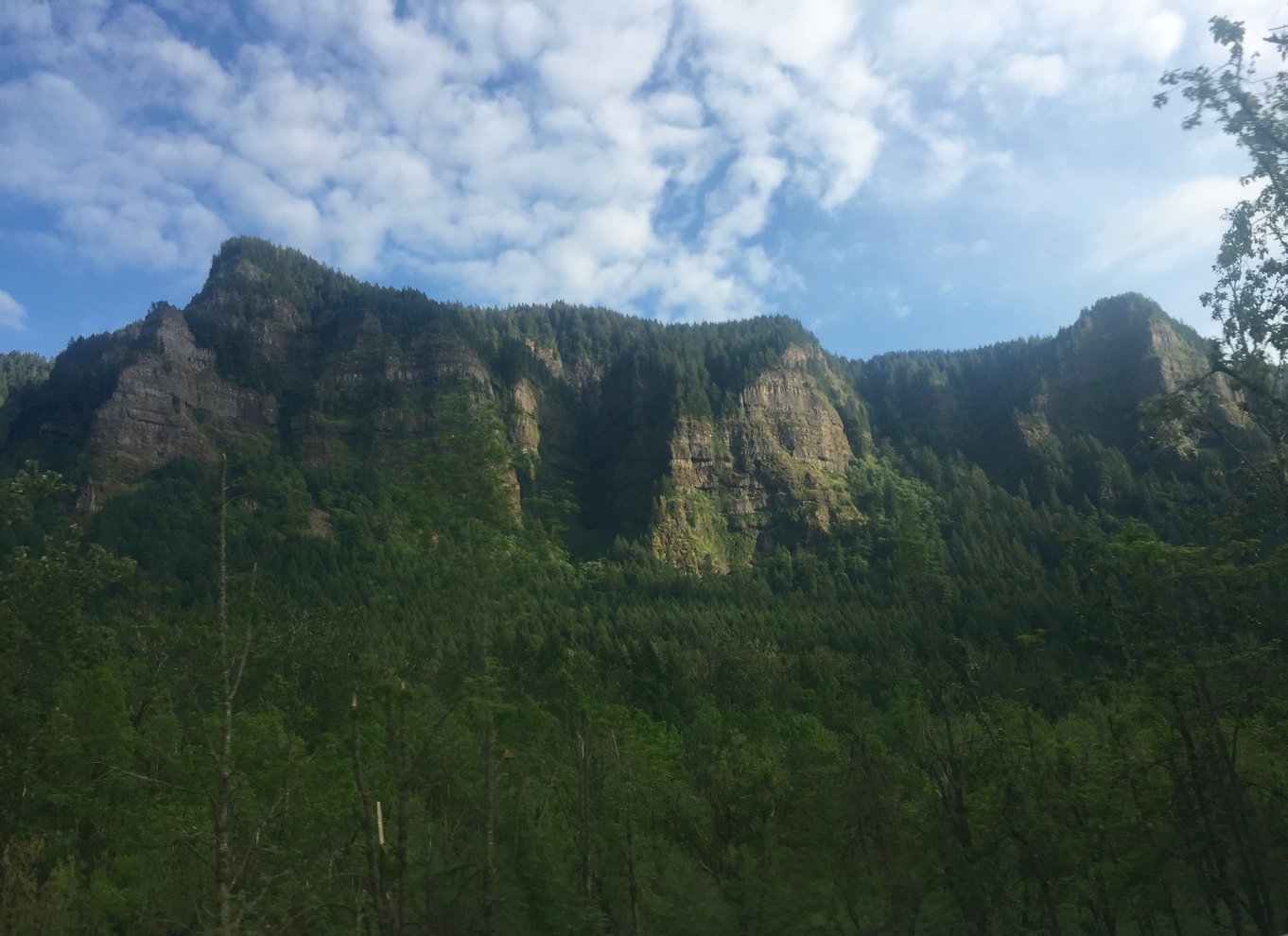 Portland: Columbia River Gorge 3-timers tur med en lille gruppe