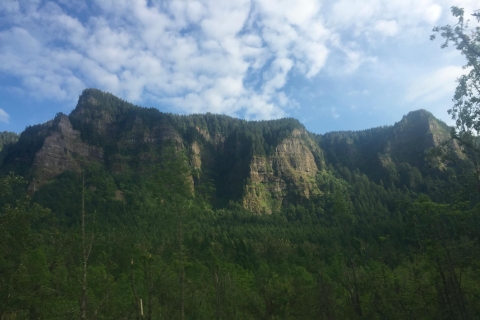 Portland: Columbia River Gorge 3-uur durende tour met kleine groepen