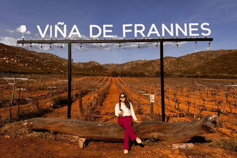 Valle de Guadalupe: Wycieczka po winiarni z degustacją