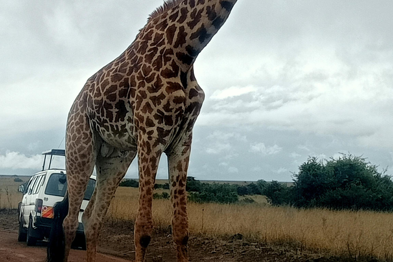 Parque Nacional del Lago Nakuru desde Nairobi