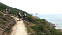 Hong Kong, full-day landelijke wandeling in SAI als Country Park - Housity