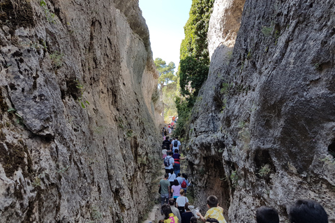 Cuenca: Enchanted City and Devil's Window Spanish lenguage