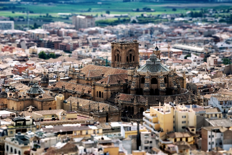 Granada and Albaicín: Historical Private Tour