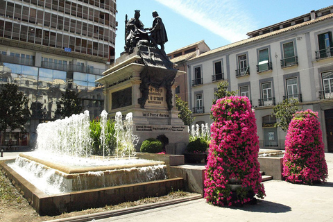 Granada and Albaicín: Historical Private Tour