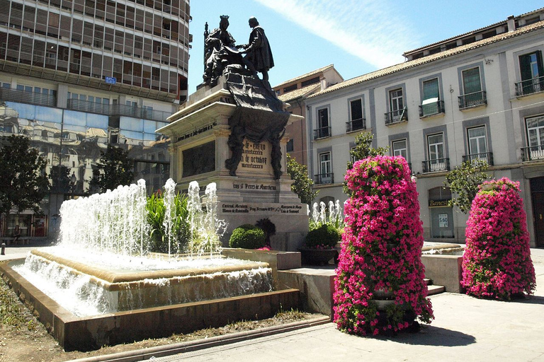 Granada and Albaicín: Historical Private Tour