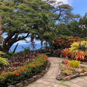Best of St. Kitts Tour - 2026 (Verified Reviews) - GetYourGuide