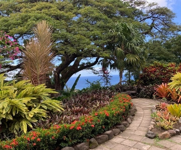 Best of St. Kitts Tour