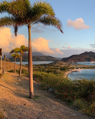 Basseterre Die BESTEN Sehenswürdigkeiten und Aktivitäten 2024