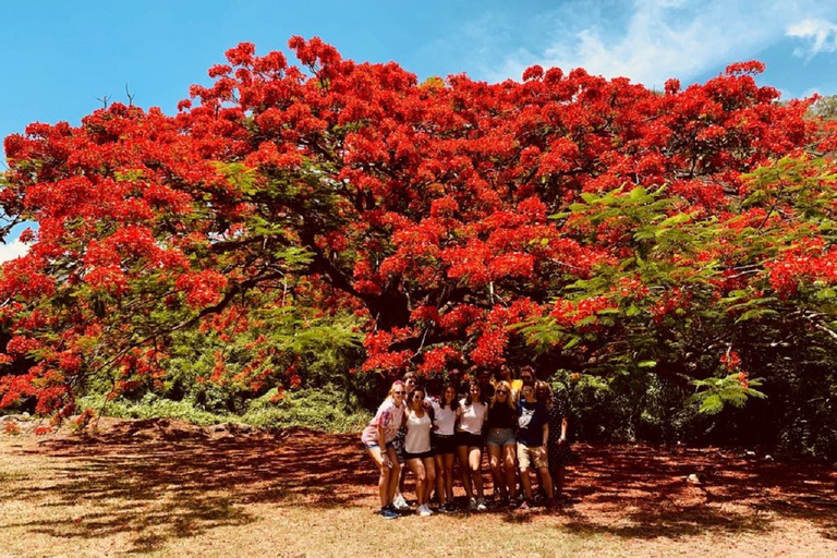 Het beste van St. Kitts-tour