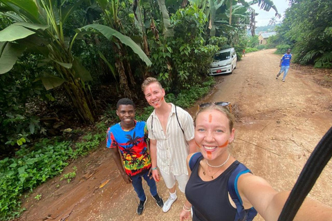 Zanzibar: Jozani Forest, Spice Farm and Stone Town City Tour Private tour no hotel pick-up and drop-off included