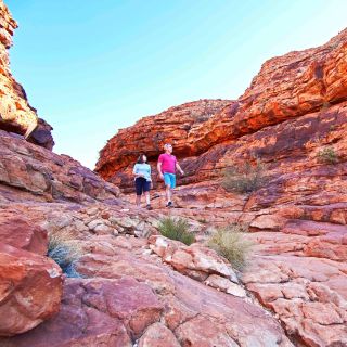 Kings Canyon to Alice Springs: 1-Way Transfer and Stop