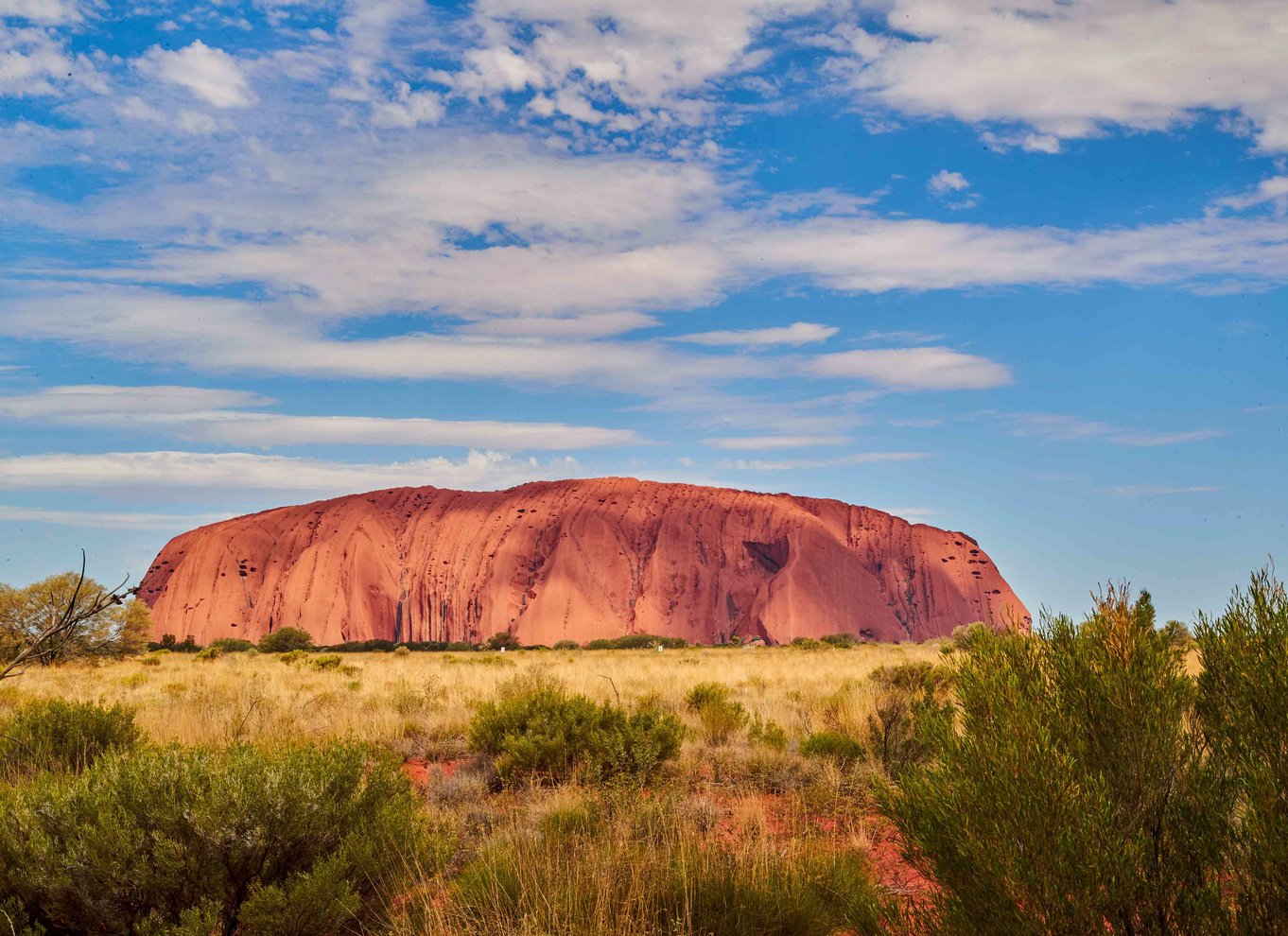 Uluru: Guidet gåtur ved solopgang med let morgenmad