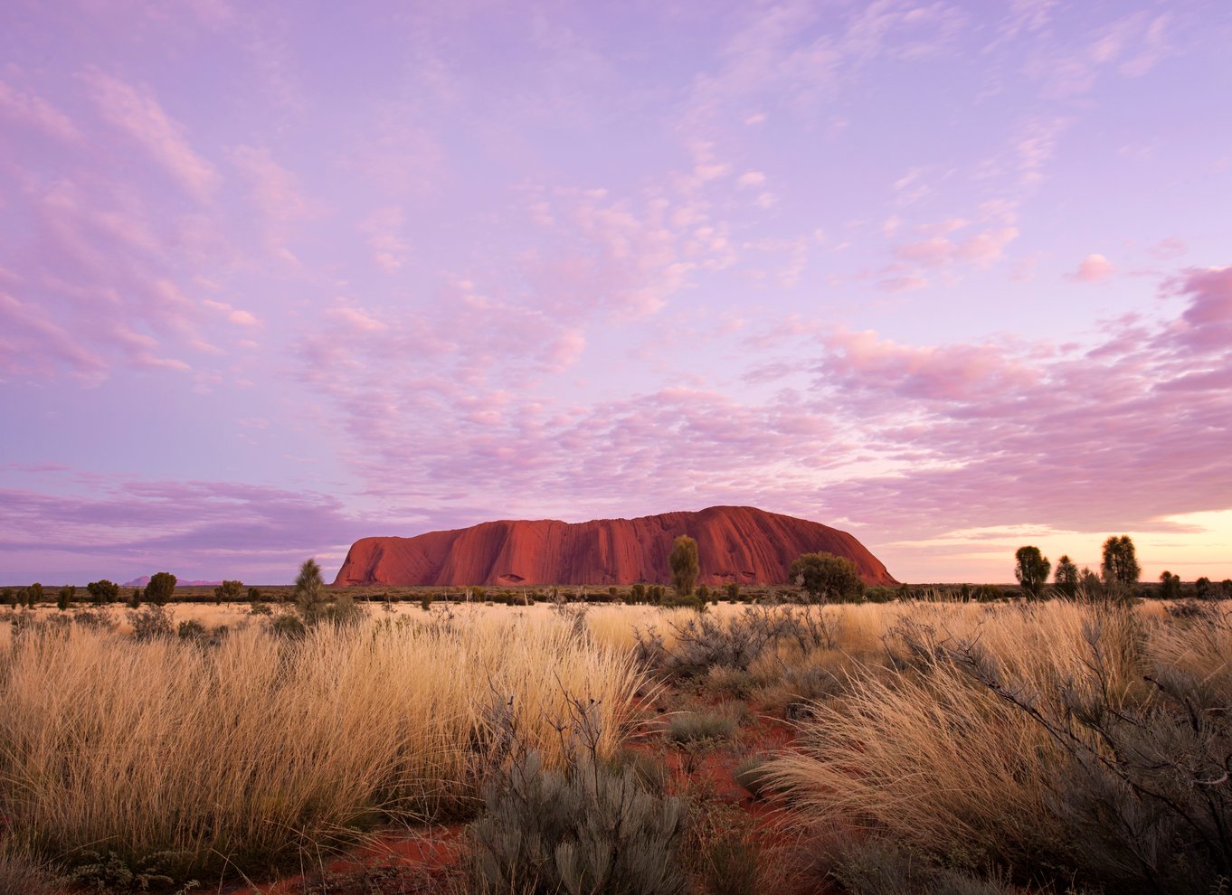 Uluru: Guidet gåtur ved solopgang med let morgenmad