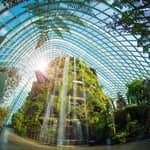Singapore: Biglietto elettronico per l'ingresso ai Gardens by the Bay