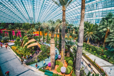 Singapur: E-bilet wstępu do ogrodów „Gardens by the Bay”Bilet wstępu na kwiatową fantazję