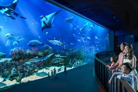 S.E.A. Aquarium Entrance E-Ticket