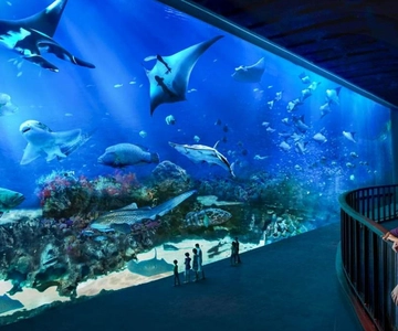 S.E.A. Aquarium Entrance E-Ticket