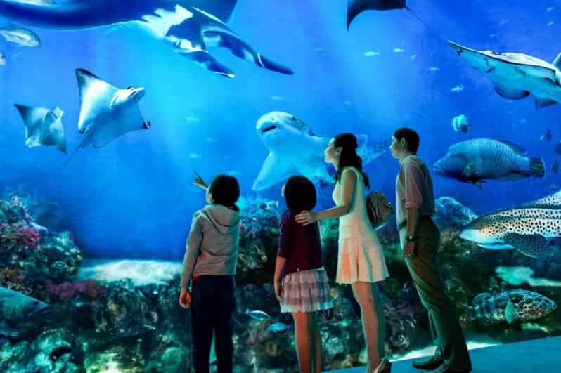Singapore S.E.A. Aquarium Entrance ETicket GetYourGuide