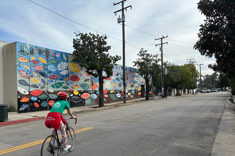 Santa Barbara: Tour guiado em bicicletas elétricas (particular)