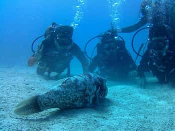 Koh Chang: Discover Scuba Diving for Beginners with 2 Dives