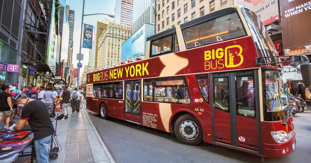 bus tour new york bronx