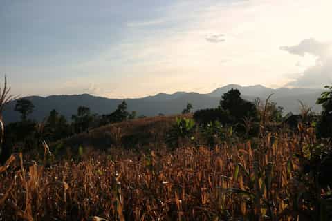 Chiang Mai: Trekking and Cycling Full-Day Tour