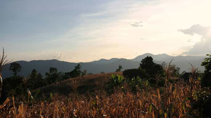 chiang mai excursión de día completo de trekking y ciclismo