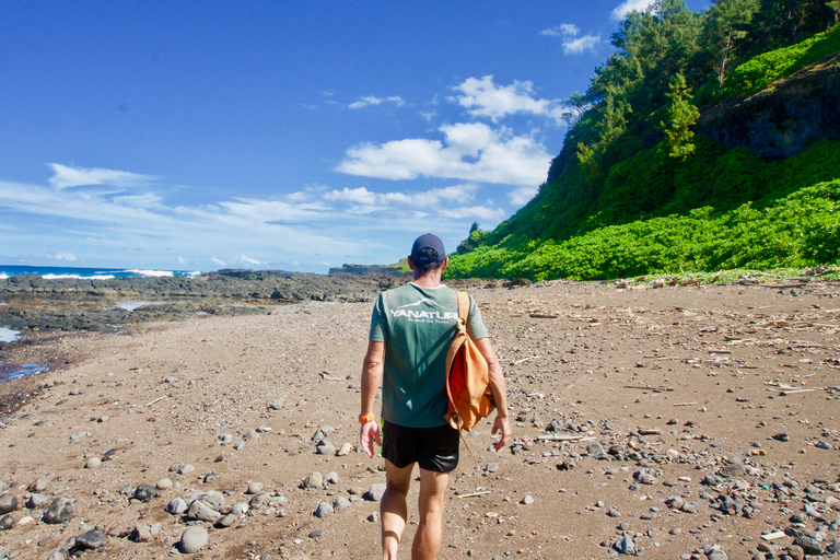 Maurice : randonnée de 3 heures dans le sud sauvage