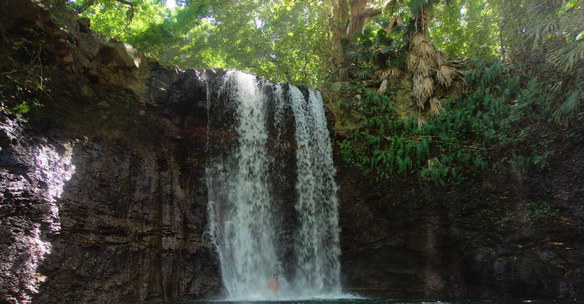 Mauritius, 3-Hour Hiking the Wild South Excursion - Hizvo