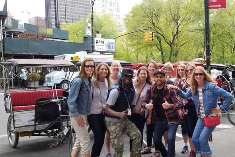 Cidade de Nova York: passeio de pedicab de luxo de 1,5 horas no Central ParkPasseio com Ponto de Encontro