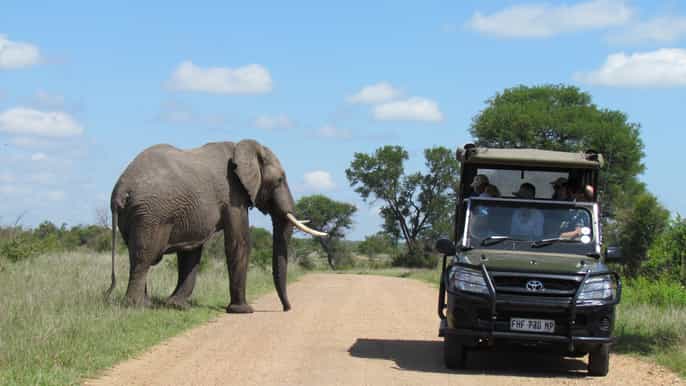 johannesburg safari ouvert dune journée dans le parc national kruger