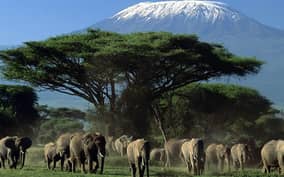Private Safari Day-Tour in Amboseli National Park
