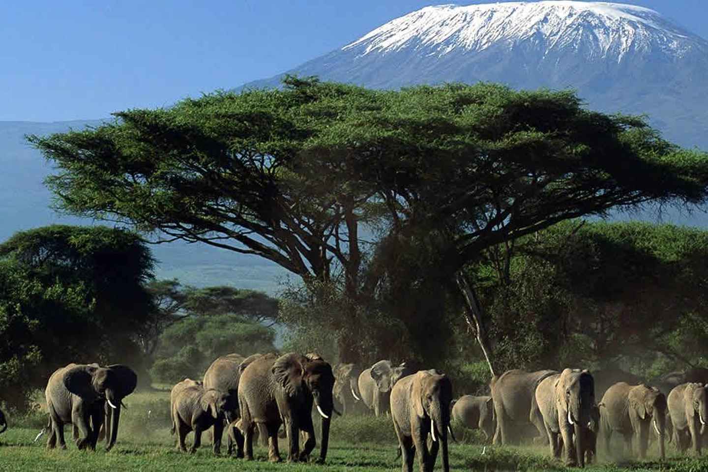 Kenya 2 Nights 3 Days Adventure Classic Safari Route Itinerary