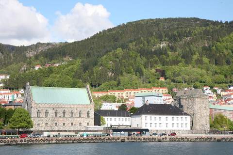 Visite guidée privée de la ville de Bergen - 8 attractions principales