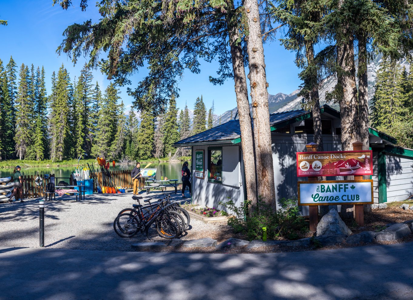 Banff: Dyreliv på Bow River – stor kanotur