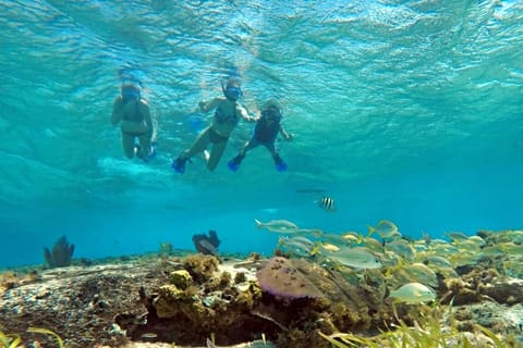 Cozumel: Private Charter Boat and Snorkel Day Trip