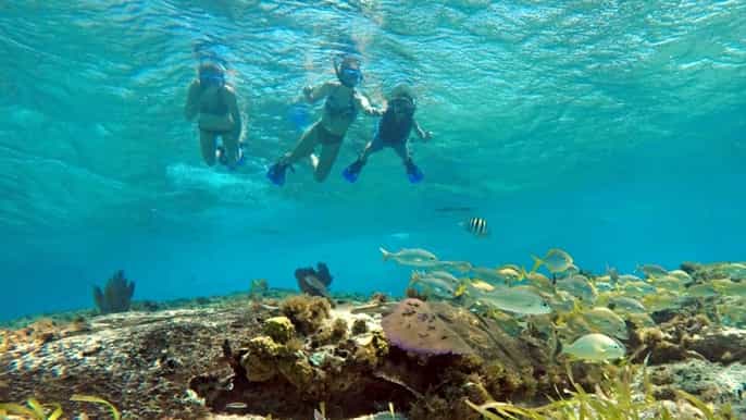 cozumel private charter boat and snorkel day trip