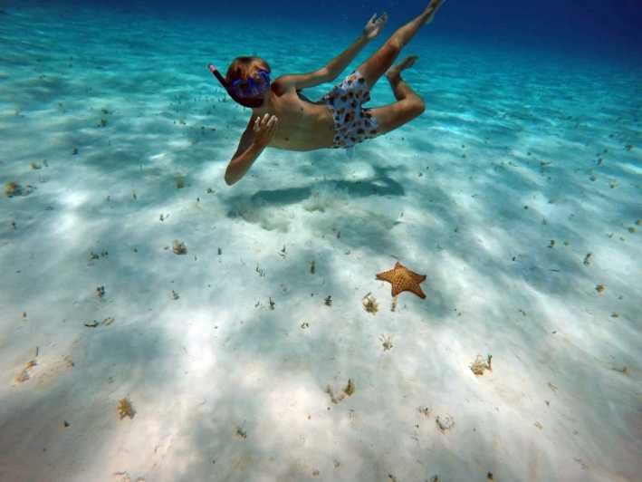 Cozumel: Private Charter Boat and Snorkel Day Trip | GetYourGuide