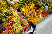 Quito, City Highlights and Food Walking Tour - Hizvo