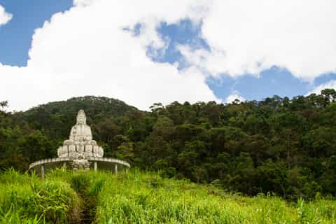 From Hoi An: Full-Day Trip with National Park Hike and Beach