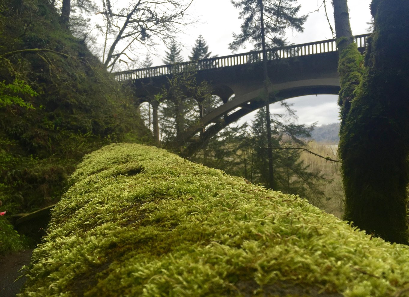 Portland: Columbia River Gorge 3-timers tur med en lille gruppe