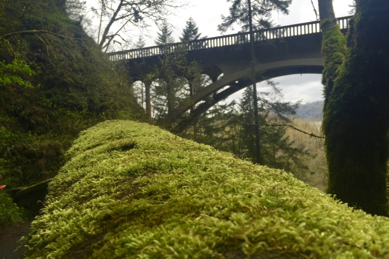 Portland: visite en petit groupe de 3 heures du Columbia River Gorge