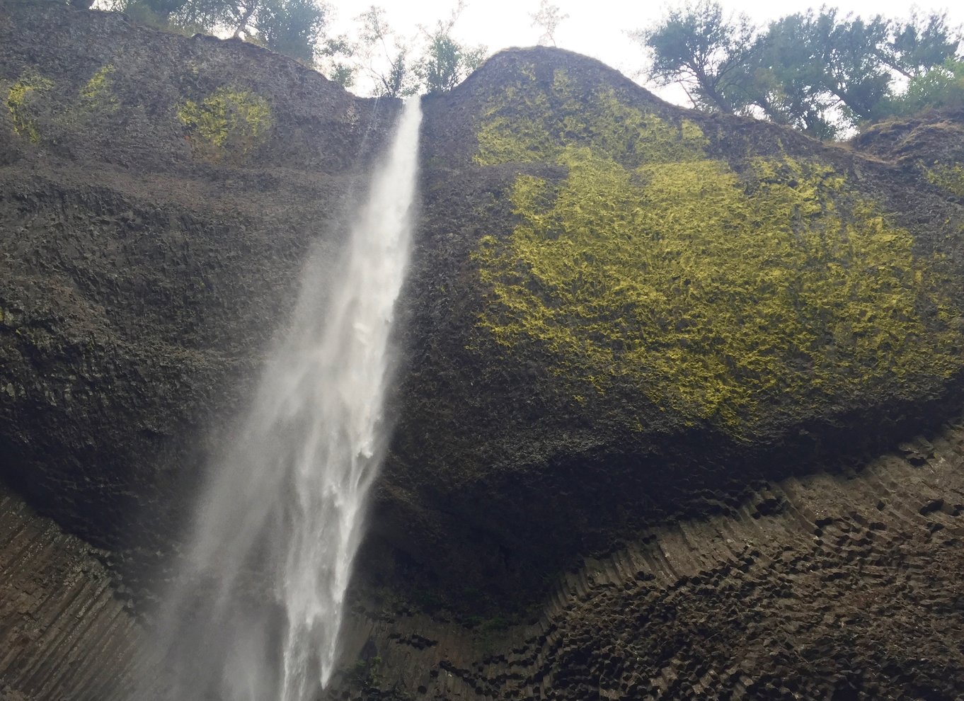 Portland: Columbia River Gorge 3-timers tur med en lille gruppe