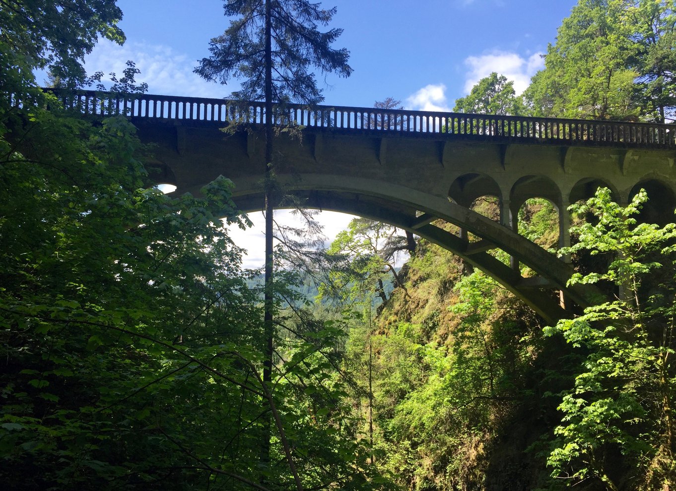 Portland: Columbia River Gorge 3-timers tur med en lille gruppe