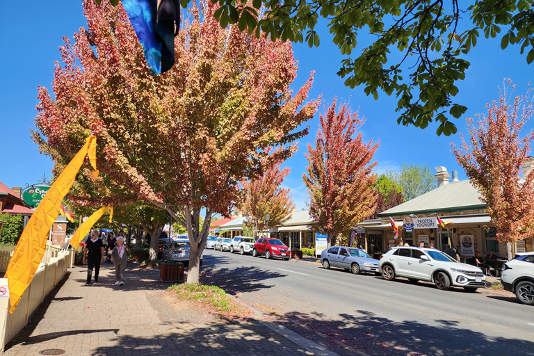 Adelaide: Premium Adelaide Hills Cleland and Hahndorf Tour