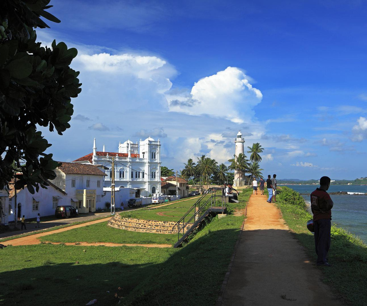 Southern Sri Lanka: Sea, Sand & Marine Life 2-Day Tour