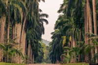 Kandy, Temples, Gardens & Cultural Show City Highlights Tour - Housity