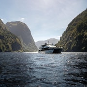 From Manapouri: Doubtful Sound Wilderness Day Trip