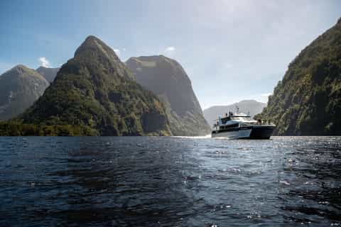 From Manapouri: Doubtful Sound Wilderness Day Trip - Image 3